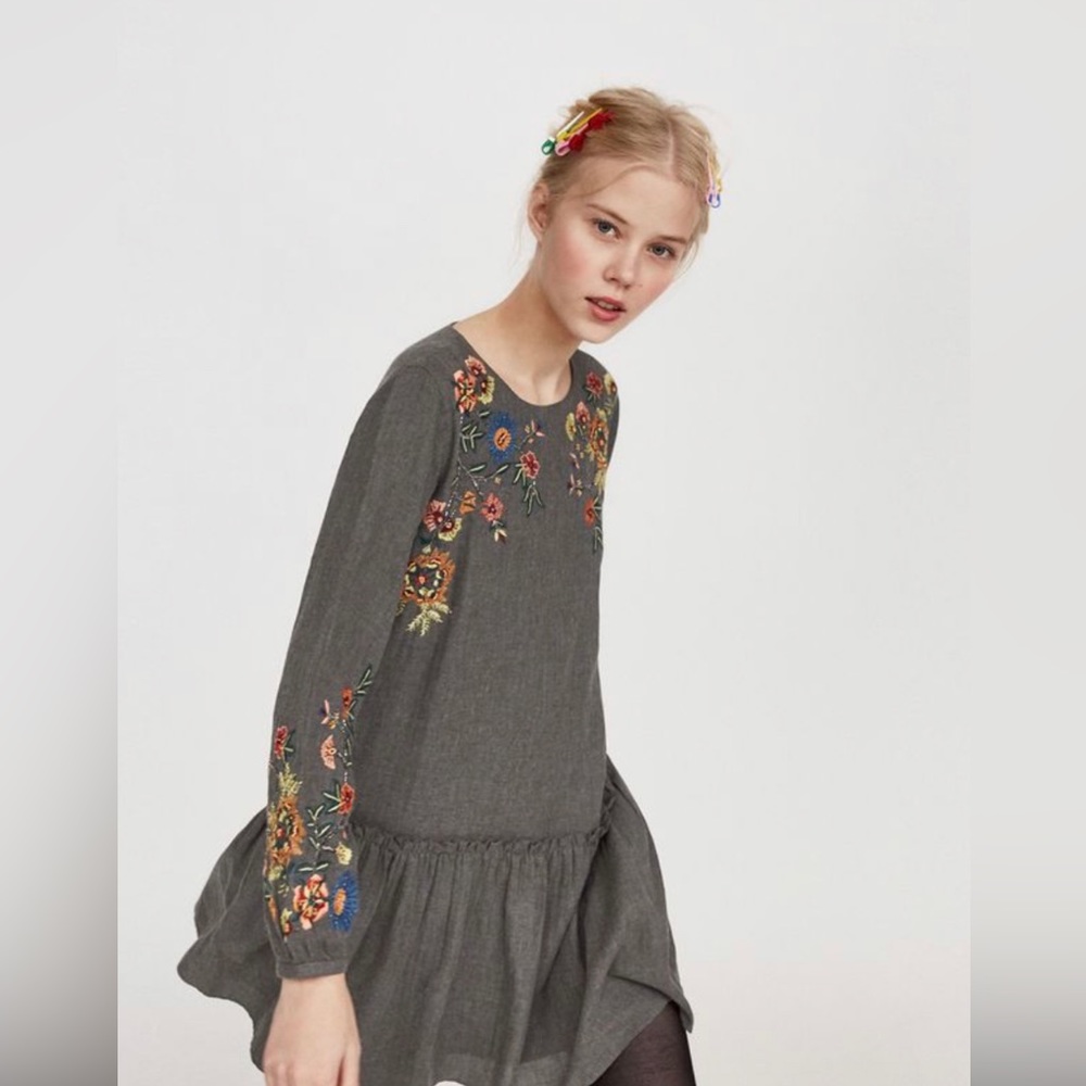 Zara Embroidered Mini Dress with ruffles and beads